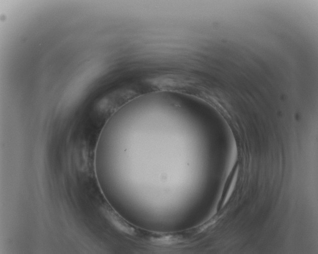 X0000083570430200702162057