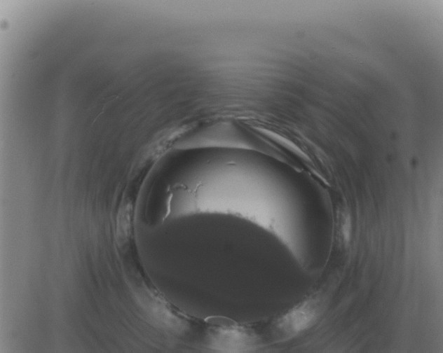 X0000083570475200702162057