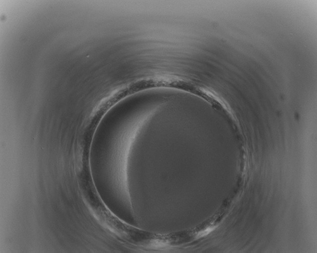 X0000083570496200702162056