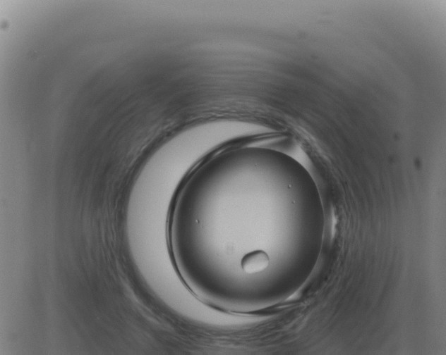 X0000083570546200702162055