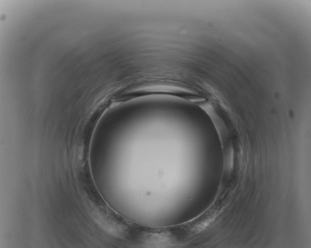 X0000083570548200702162055