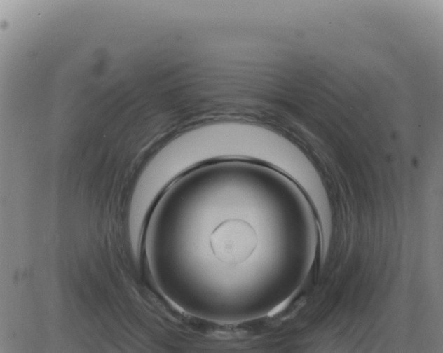 X0000083570556200702162055