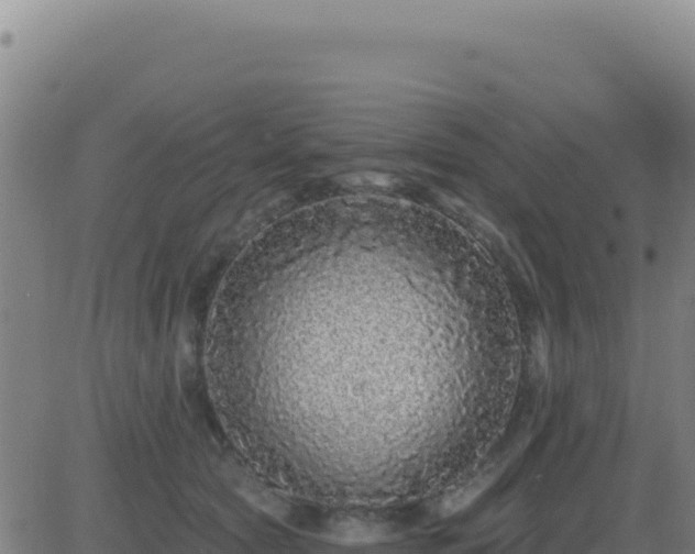 X0000083570561200702162055