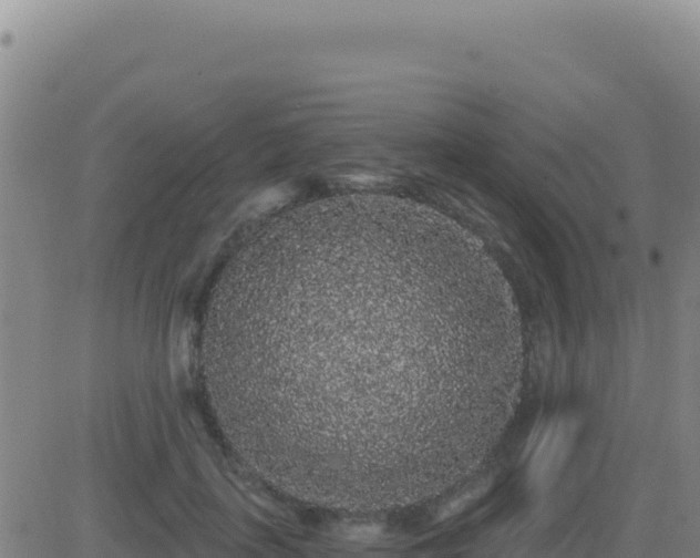 X0000083570651200702162054