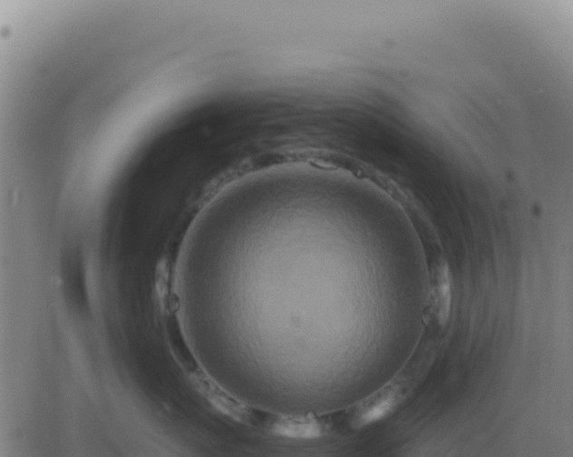 X0000083570767200702162053