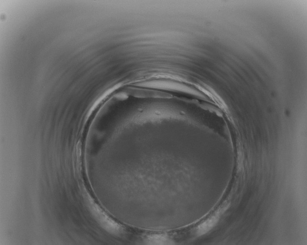 X0000083570798200702162051