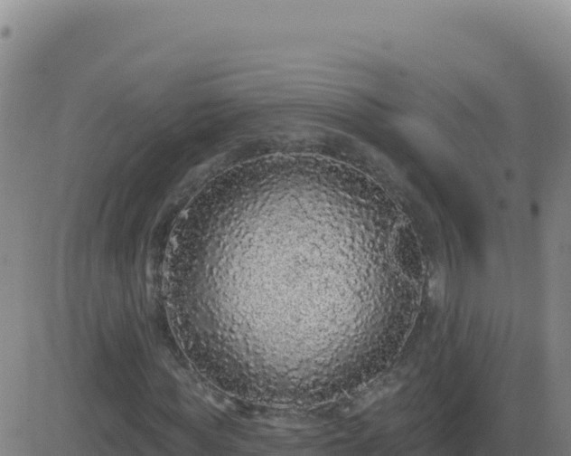 X0000083570819200702162050