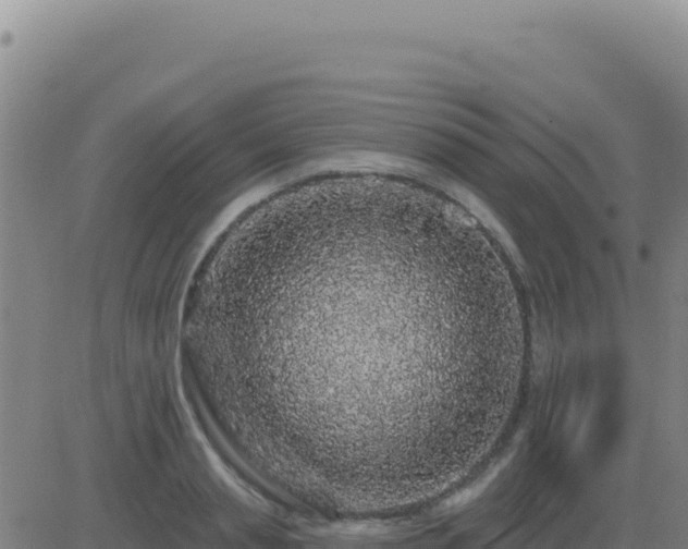 X0000083570845200702162051