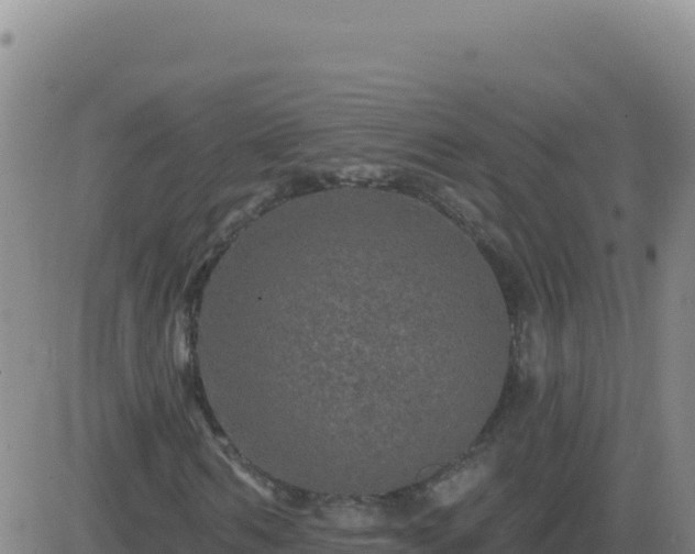 X0000083570962200702162049