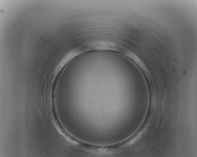 X0000083570986200702162048