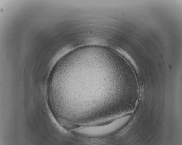 X0000083570991200702162048