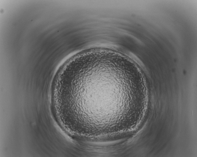 X0000083571028200702162047