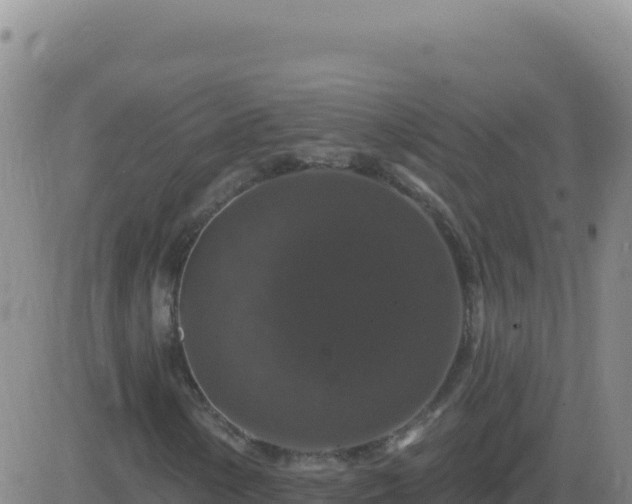 X0000083571154200702162045