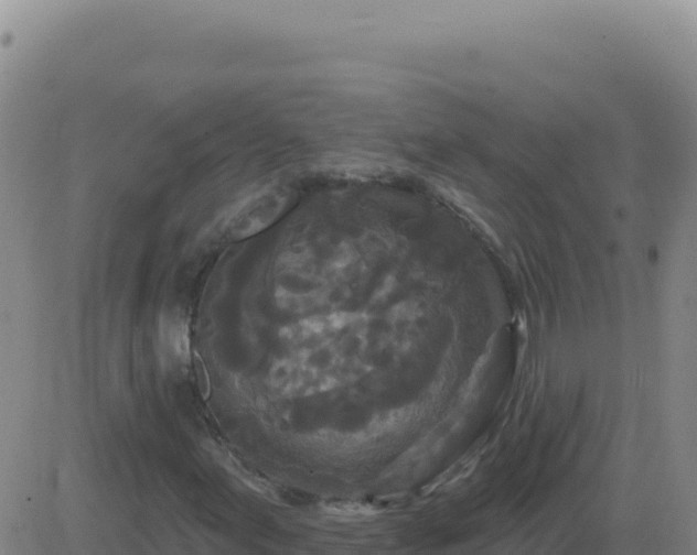 X0000083571155200702162045