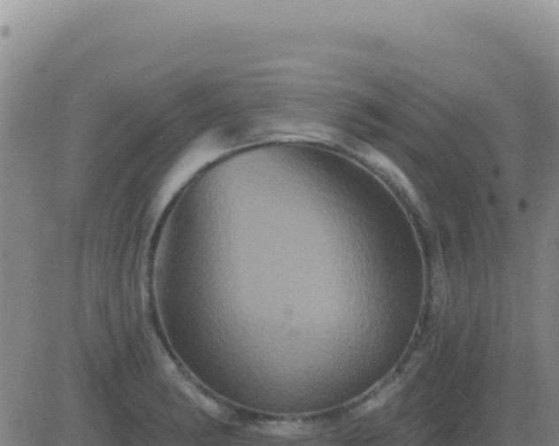 X0000083571182200702162045
