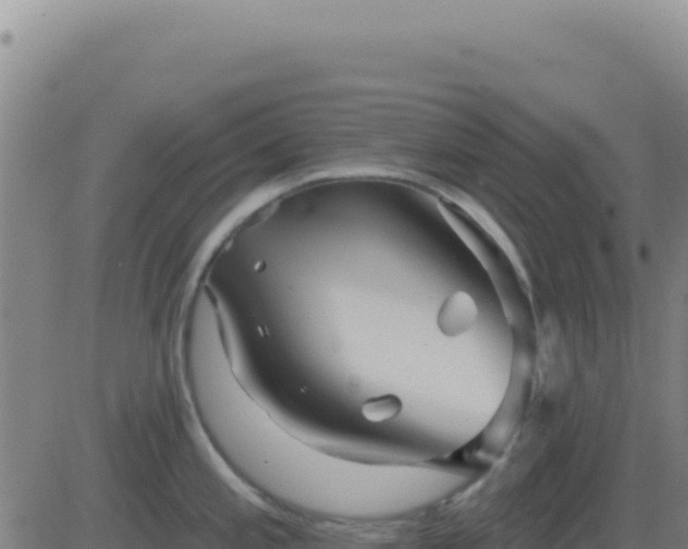 X0000083571197200702162045