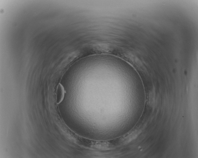 X0000083571201200702162044