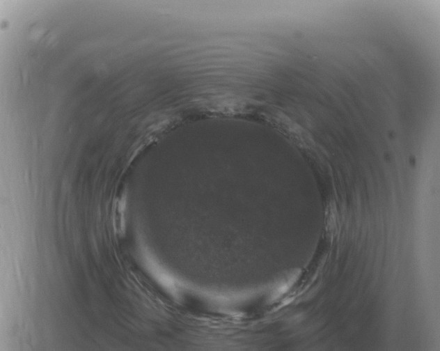 X0000083571202200702162044
