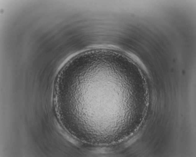 X0000083571228200702162044