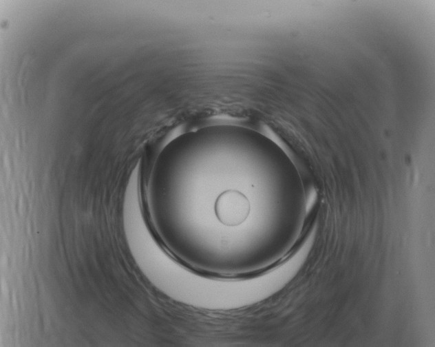 X0000083571298200702162042