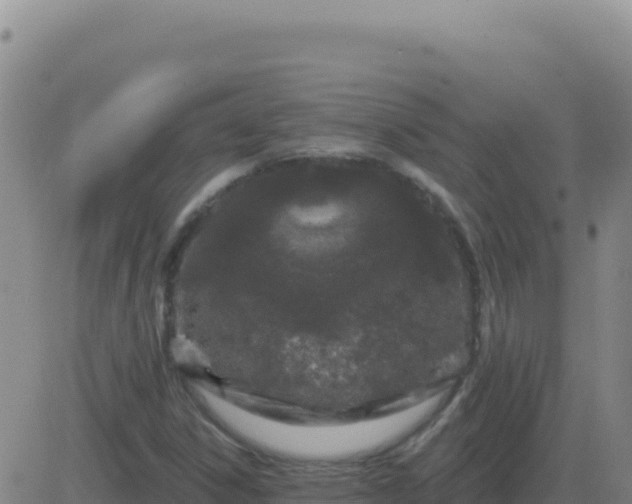 X0000083571306200702162043