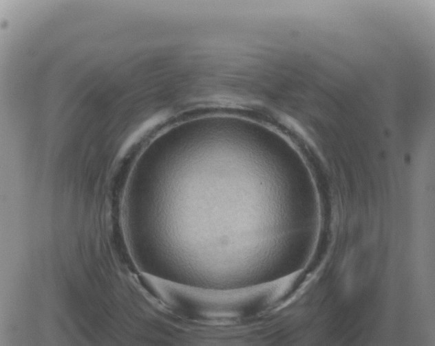 X0000083571307200702162043