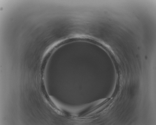 X0000083571319200702162043