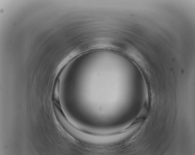 X0000083571330200702162043