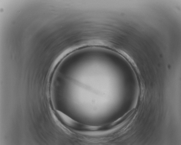 X0000083571342200702162043