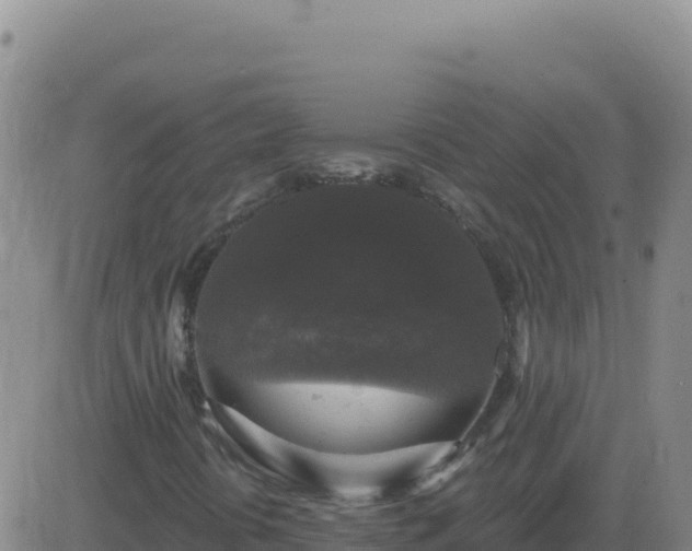 X0000083571394200702162041