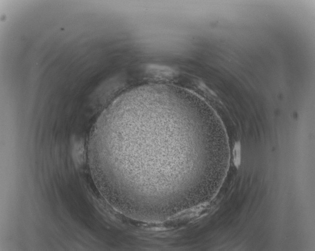 X0000083571395200702162041