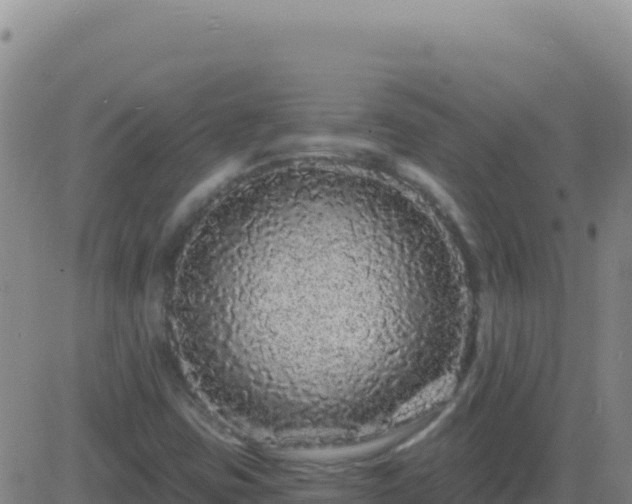 X0000083571403200702162041