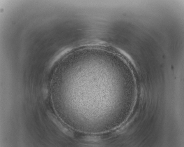 X0000083571407200702162041