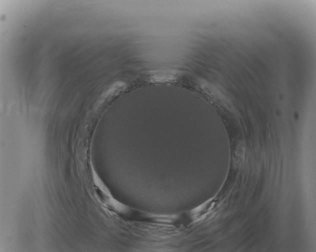 X0000083571441200702162041