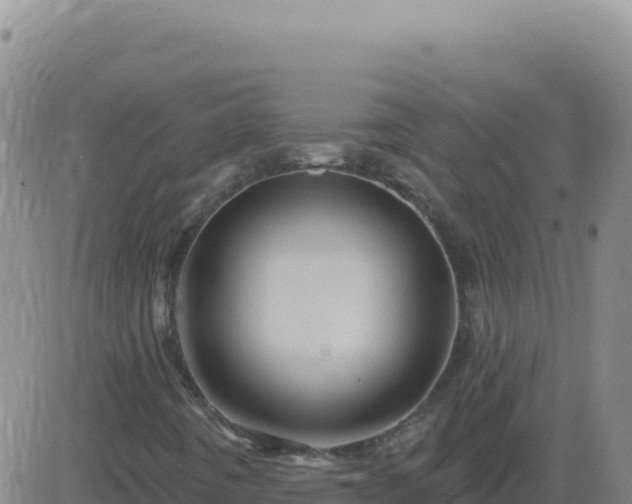 X0000083571442200702162041