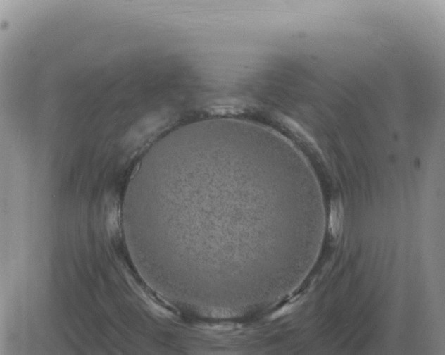 X0000083571444200702162041