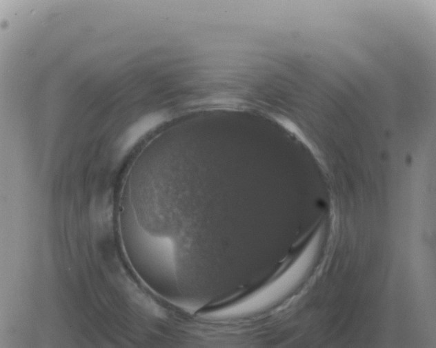 X0000083571450200702162041