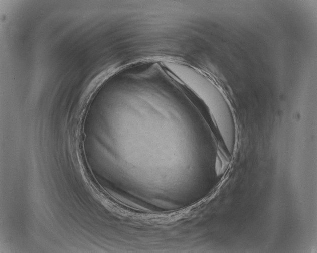X0000083570001200702231641