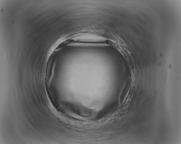 X0000083570003200702231641
