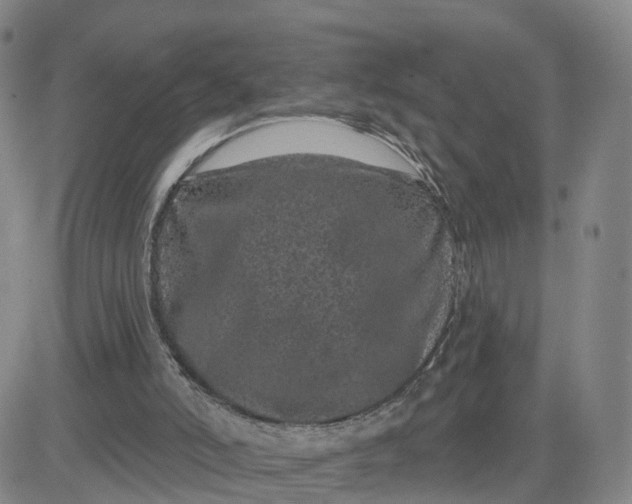 X0000083570006200702231641