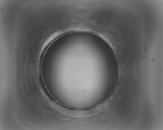 X0000083570008200702231641