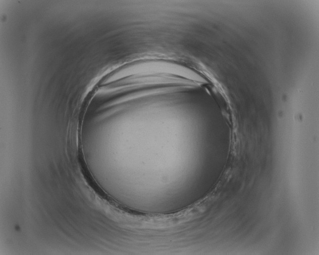 X0000083570011200702231641