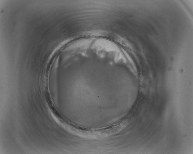 X0000083570012200702231641