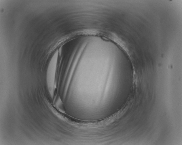 X0000083570013200702231641