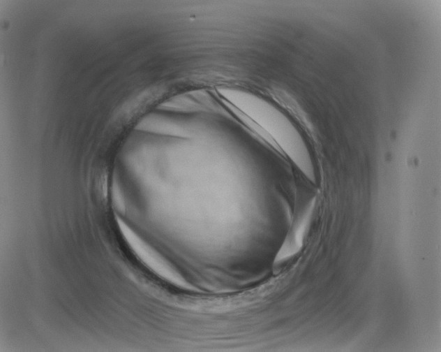 X0000083570021200702231641