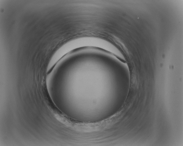 X0000083570025200702231641