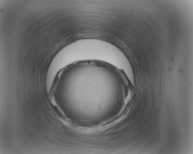X0000083570045200702231641