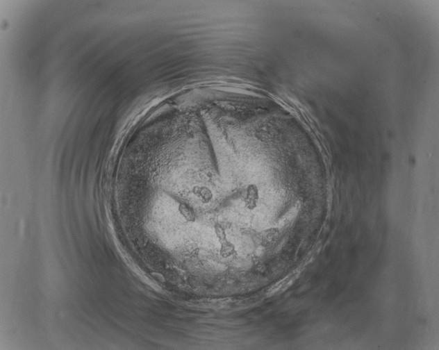 X0000083570049200702231640