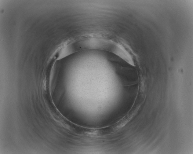X0000083570068200702231640