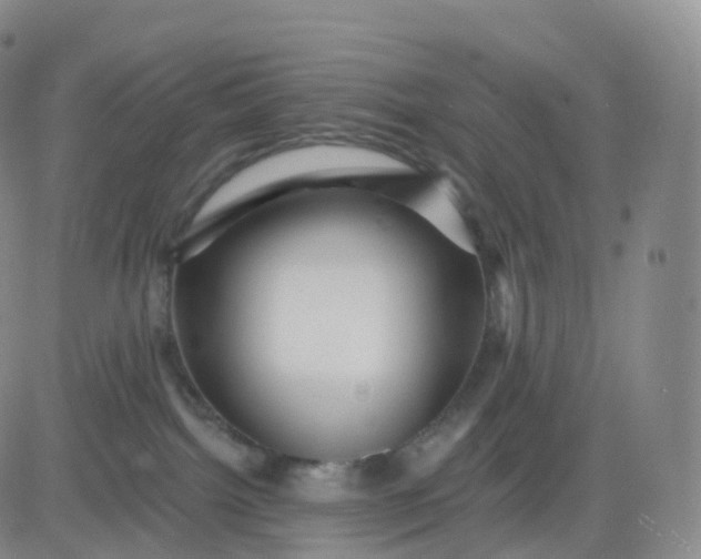 X0000083570092200702231641